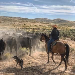 Meet your Posher, Casey